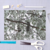 Onderaan de sneeuwbedekte pijnboom Winter Foto Tissuepapier (Craft)