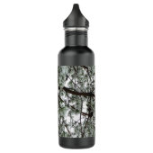 Onderaan de sneeuwbedekte pijnboom Winter Foto Waterfles (Links)