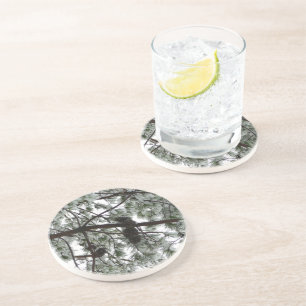 Onderaan de sneeuwbedekte pijnboom Winter Foto Zandsteen Onderzetter