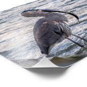 Onderaan het luik grote blauwe reiger foto afdruk (Hoek)