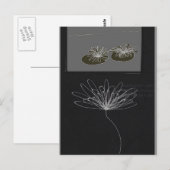 onderbewust terrein briefkaart (Voorkant / Achterkant)