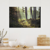 Onderborstelpatroon in het bos poster (Keuken)