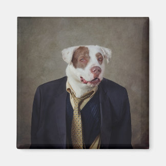 Onderdak Huisdieren Project - Casanova Magneet