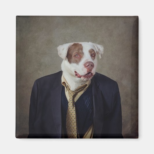 Onderdak Huisdieren Project - Casanova Magneet (Voorkant)