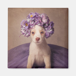 Onderdak Huisdieren Project - Fiona Magneet