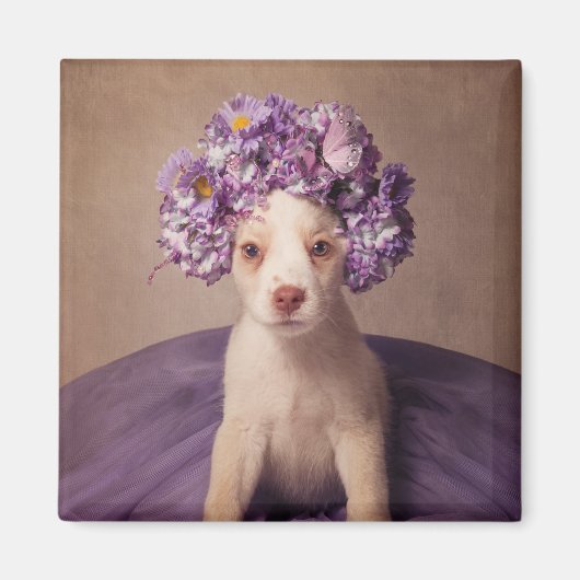 Onderdak Huisdieren Project - Fiona Magneet (Voorkant)