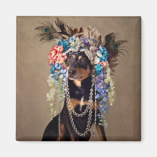 Onderdak Huisdieren Project - Midnight Magneet (Voorkant)