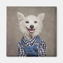 Onderdak Huisdieren Project - Tonka