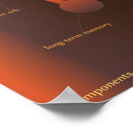 Onderdelen van bewustzijn poster (Hoek)