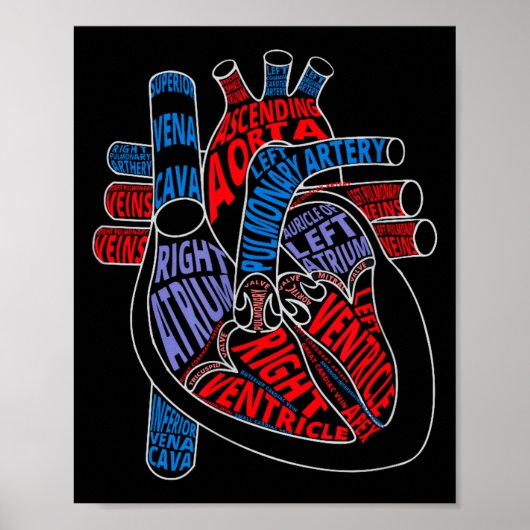 Onderdelen van het hart Anatomisch hart Cadeau voo Poster (Voorkant)