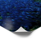 Onderdonk - Bluebonnet Field, Perfect Poster (Hoek)