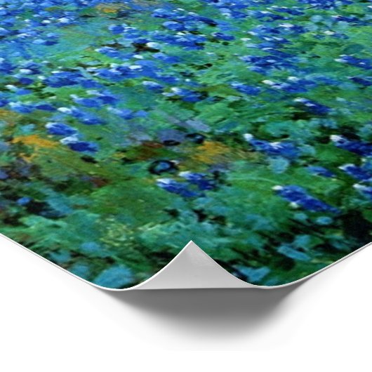 Onderdonk - Bluebonnet Scene Poster (Hoek)