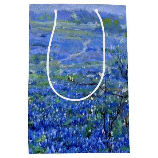 Onderdonk - Cloudy Day, Bluebonnets San Antonio Medium Cadeauzakje (Voorkant)