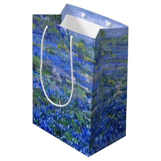 Onderdonk - Cloudy Day, Bluebonnets San Antonio Medium Cadeauzakje (Achterkant Gekanteld)