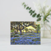 Onderdonk - Old Live Oak Tree and Bluebells Kaart (Staand voorkant)