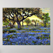 Onderdonk - Old Live Oak Tree and Bluebells Poster (Voorkant)