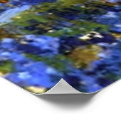 Onderdonk - Old Live Oak Tree and Bluebells Poster (Hoek)