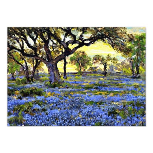 Onderdonk - Oude levende eik- en blauwbonnenbomen Foto Afdruk (Voorkant)