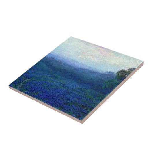Onderdonk - Pad door een veld van bluebonnets Tegeltje (Zijkant)