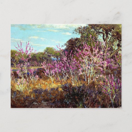 Onderdonk - Rosebud Tree in Bloom bij Leon Springs Briefkaart (Voorkant)
