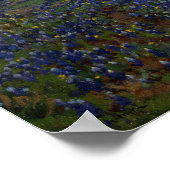 Onderdonk - Veld met blauwe bonen 1920 Poster (Hoek)