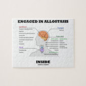 Ondergebracht in Allostasis Inside (hormoon) Legpuzzel (Horizontaal)