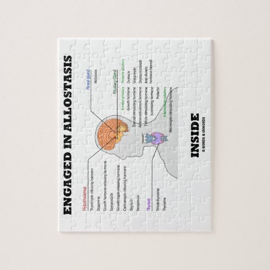 Ondergebracht in Allostasis Inside (hormoon) Legpuzzel (Verticaal)