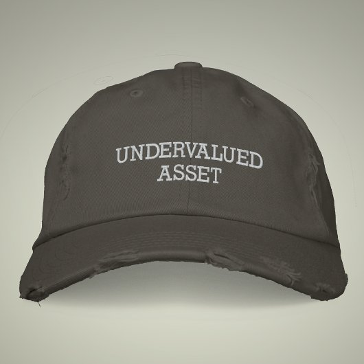 Ondergewaardeerde Asset  Style Distressed Geborduurde Pet