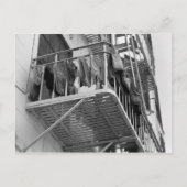 Ondergoed uit naar droog Humor zwart-wit foto Briefkaart (Voorkant)