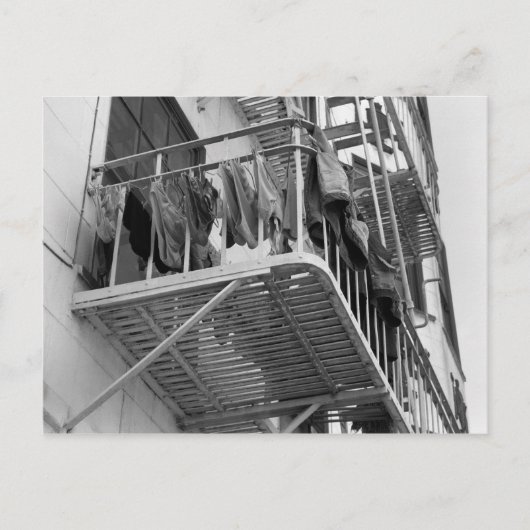 Ondergoed uit naar droog Humor zwart-wit foto Briefkaart (Voorkant)