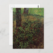 Ondergroei door Vincent van Gogh Briefkaart (Voorkant / Achterkant)