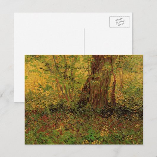 Ondergroei door Vincent van Gogh Briefkaart (Voorkant / Achterkant)