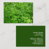 Ondergroei, Mini Foto Visitekaartje (Voorkant / Achterkant)