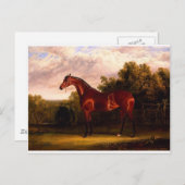 onderhandelaar briefkaart (Voorkant / Achterkant)