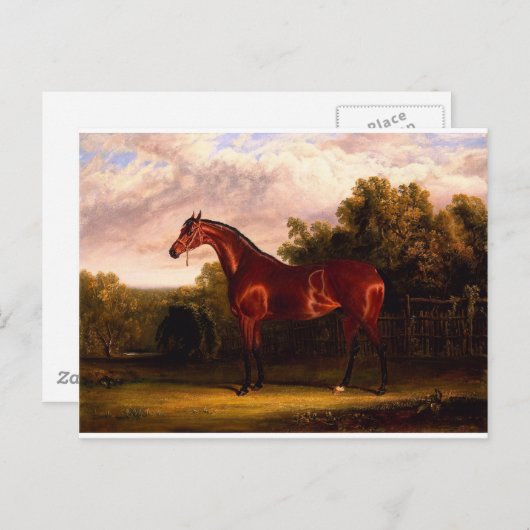 onderhandelaar briefkaart (Voorkant / Achterkant)