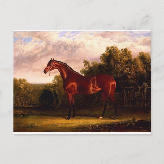 onderhandelaar briefkaart (Voorkant)