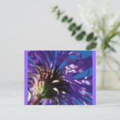 Onderkant van een Aster Briefkaart (Staand voorkant)