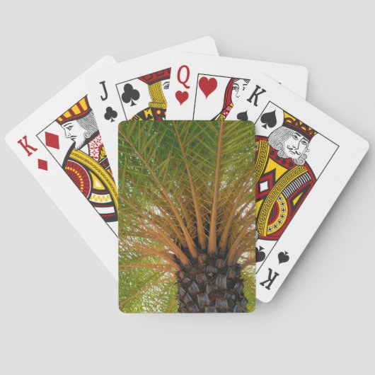 Onderkant van palmboom pokerkaarten (Achterkant)