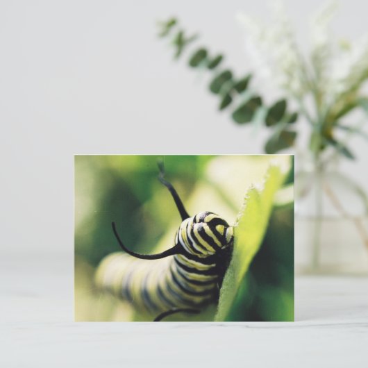 Onderpijler Omhoog Sluiten en Persoonlijk Briefkaart (Staand voorkant)