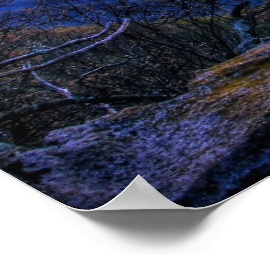 onderrug poster (Hoek)