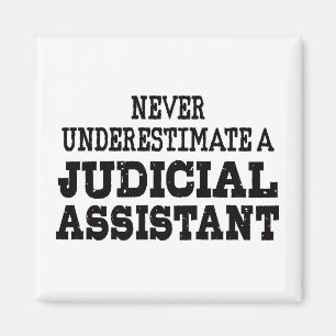 Onderschat nooit een Justitiële Assistent Magneet