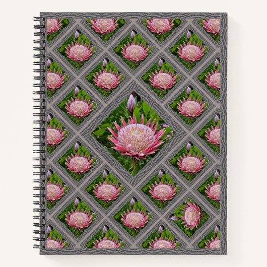 Onderscheidend Notitieboek met mooie roze proteas (Voorkant)