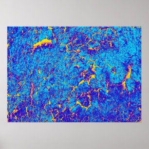 Onderscheidende Abstracte textuur Poster