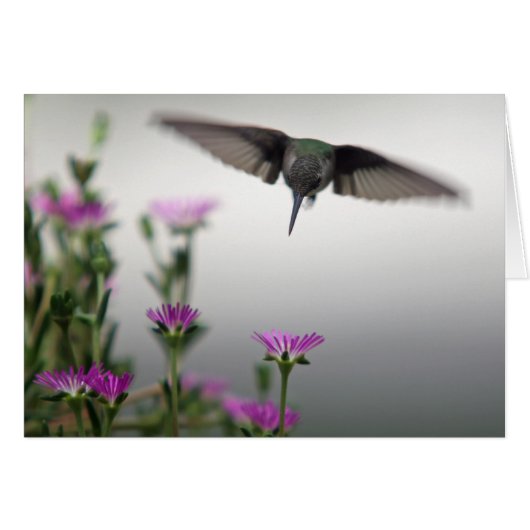 Onderscheidende Hummingbird Kaart (Voorkant Horizontaal)