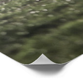 Onderste deel van de rugbyspeler in scrum, duwen poster (Hoek)