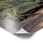 Onderste Herfsten, Conkle's Hollow, Hocking Hills, Foto Afdruk (Hoek)