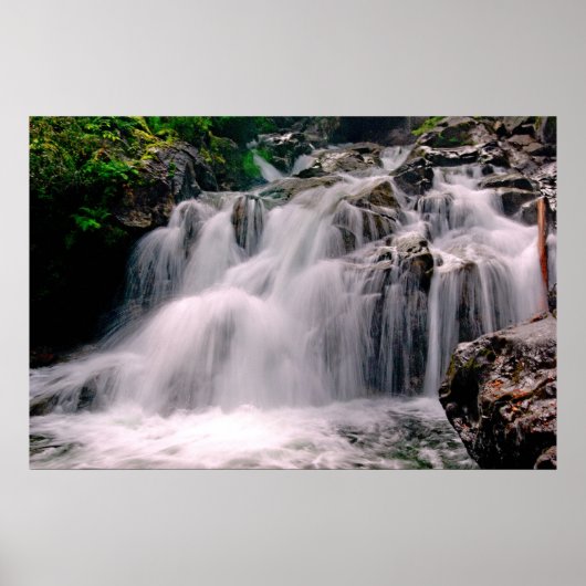 Onderste Herfsten voor bedrog Poster (Voorkant)