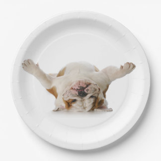 Ondersteboven Bulldog papier Borden Papieren Bordje