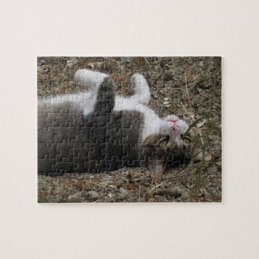 Ondersteboven Kat Puzzle Legpuzzel (Horizontaal)