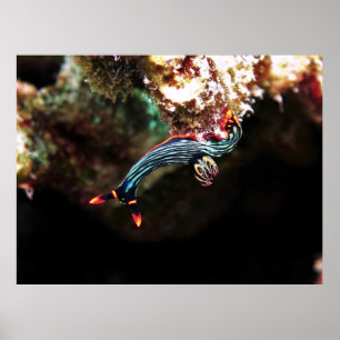 Ondersteboven Nudi Poster